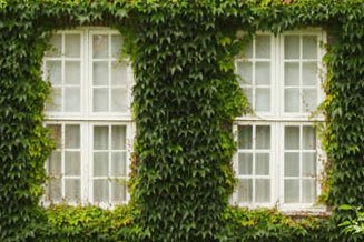uPVC Windows